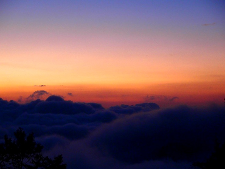【秋】阿里山鄒族-生命豆祭-鄒!走!我們結婚吧