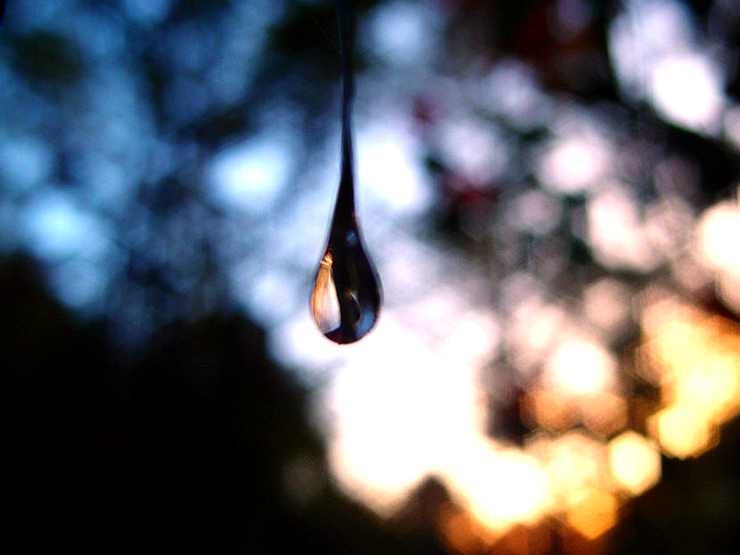 【秋】阿里山鄒族-生命豆祭-鄒!走!我們結婚吧