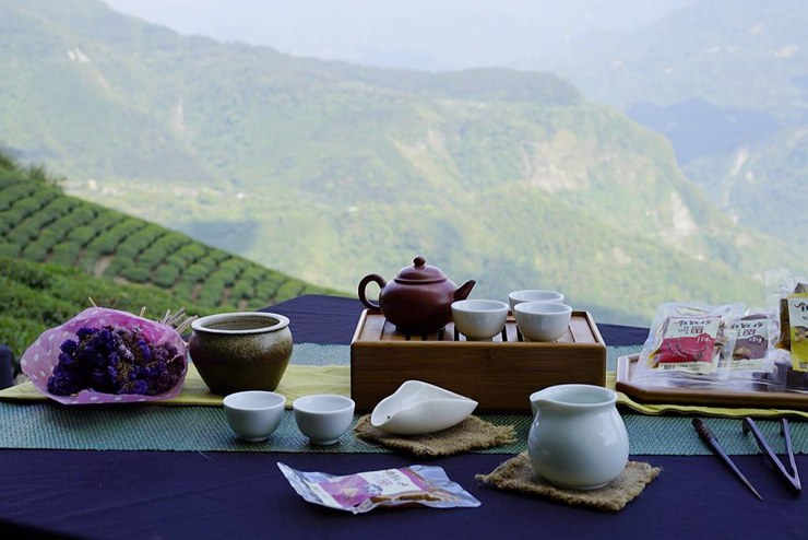 石棹現地採茶製茶